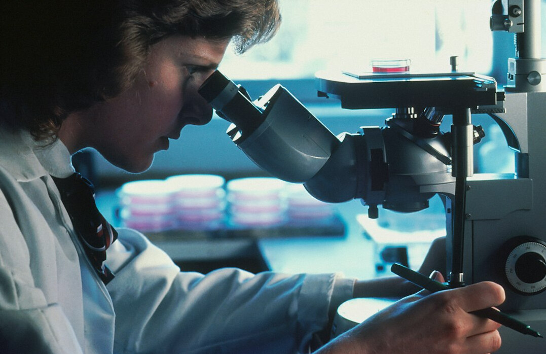 investigative research