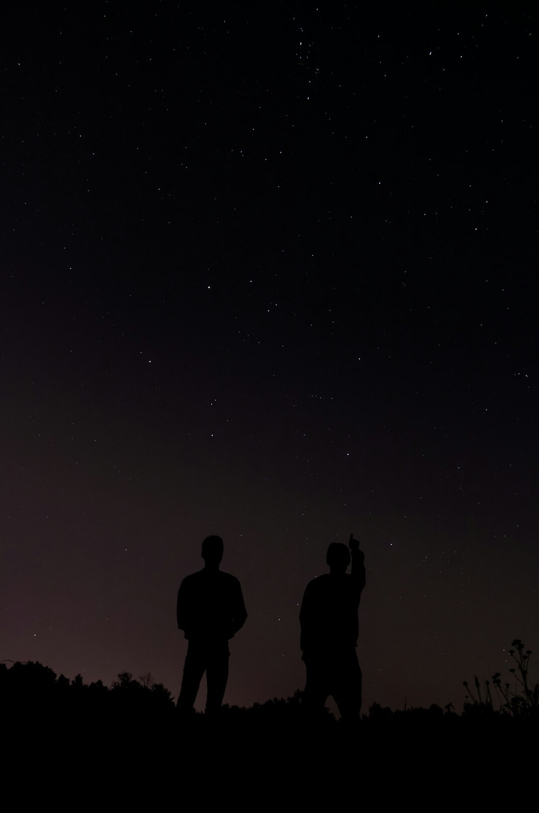 two stars in conversation